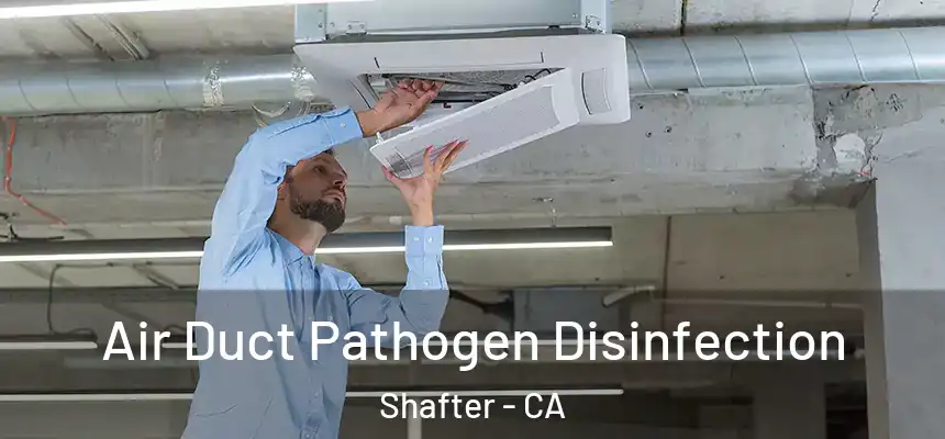  Air Duct Pathogen Disinfection Shafter - CA