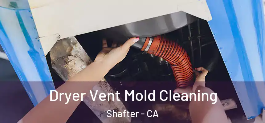  Dryer Vent Mold Cleaning Shafter - CA