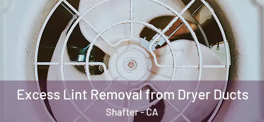  Excess Lint Removal from Dryer Ducts Shafter - CA
