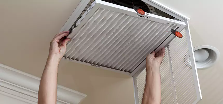 Preventive Cockroach-Proofing for Ducts in Shafter