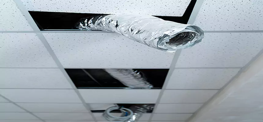 Our Air Duct Pet Hair Removal Services in Shafter, CA