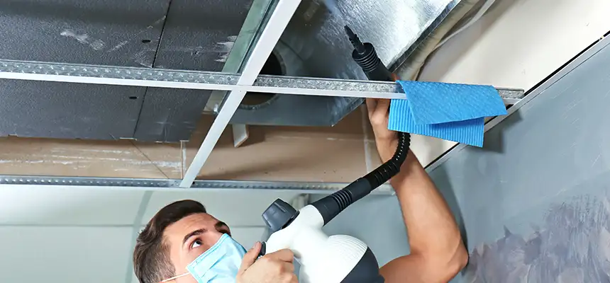 Our Air Duct Rodent Removal Services in Shafter, CA