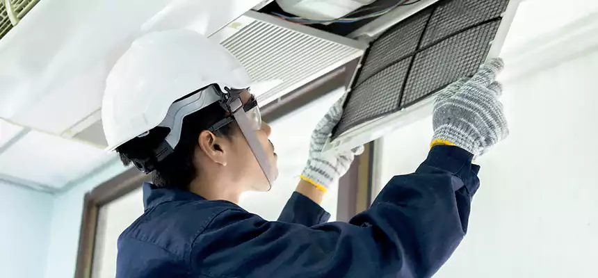 Our Mold & Mildew Removal from Air Ducts Services in Shafter, CA