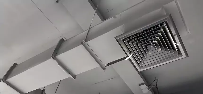 Our Rodent Droppings In Vents Services in Shafter, CA