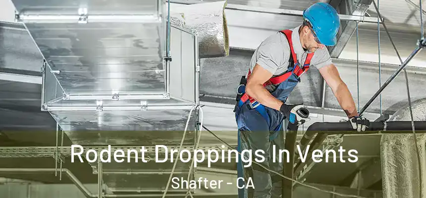  Rodent Droppings In Vents Shafter - CA