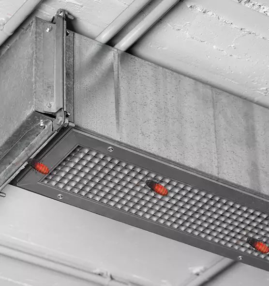 About Air Duct Cockroach Removal in Shafter, CA