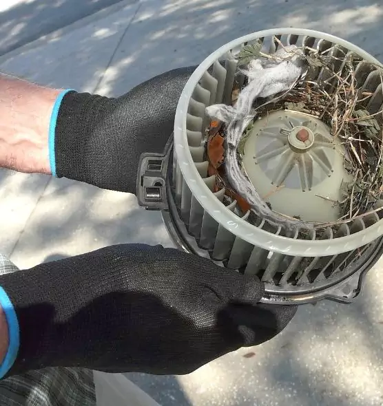 About Air Duct Mice Removal in Shafter, CA