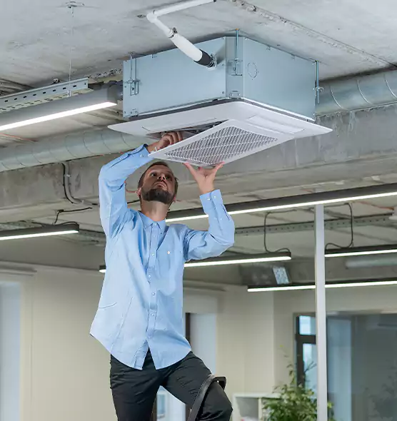 Advanced Rodent Droppings In Vents in Shafter, CA