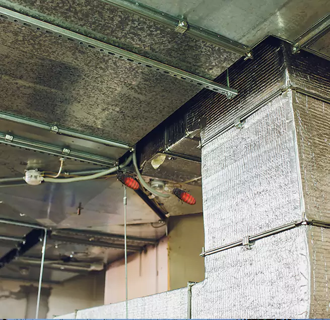 Why Homeowners & Businesses Trust Us in Shafter, CA?