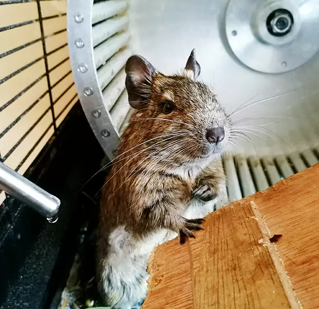 Why Homeowners & Businesses Trust Us Shafter, CA